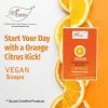 Vegan-Orange_6-2.jpg ORANGE Handmade VEGAN Almond Oil Soap NT 100 gms unit